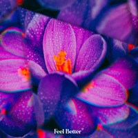 all corners of this floating world swept away - Single - Runaway Horses & Mirai No Hagaki