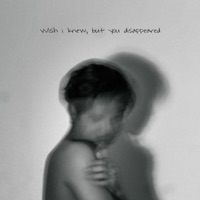 Wish i knew, but you disappeared - EP - MAX-GAZINE