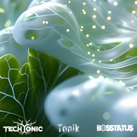 Perception (feat. Tonik) TechTonic & Bosstatus