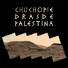 Piedras De Palestina