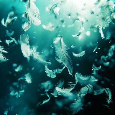 Feather First Album