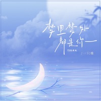 梦里梦外都是你 (Dj浩然版) - Single - 一只雕
