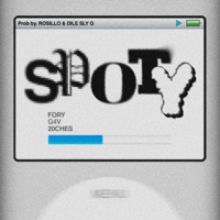 Spoty (feat. Gabriels D20 & 20Ches) - Single - FORY