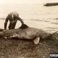 ashes (feat. Sacredd919 & THEFOODLORD) - Single - professor payne