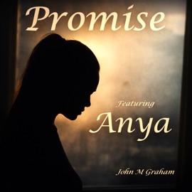 Promise (feat. Anya) [Cover Version] John M Graham