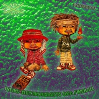 Weird Shit/Ironsights Ona Fireball (feat. Booshido) - Single - Lo Katana