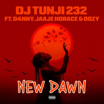 New Dawn (feat. D4nny, Oozayrex & Jaaje Horace) - Single