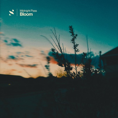 Bloom - Single