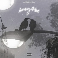 Luna y Miel - Single - Beat Sucio & El Dary