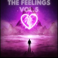 THE FEELINGS - EP - ICE DROPPA