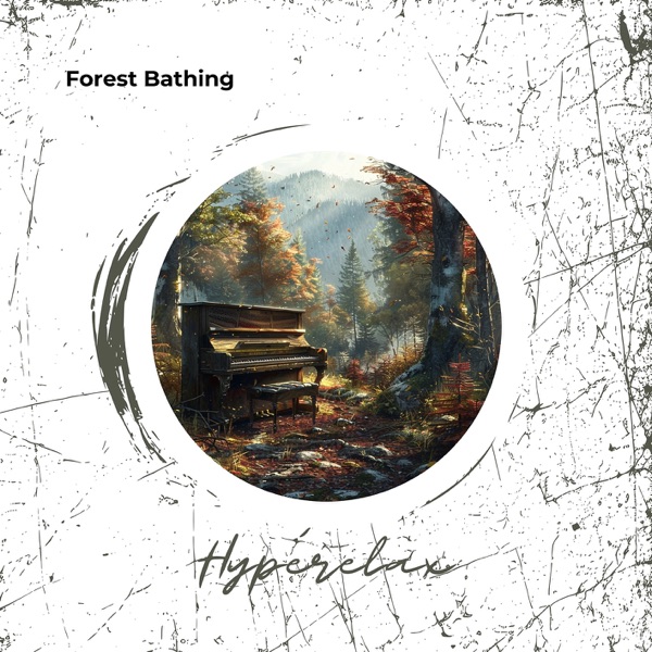 Forest Bathing: 432 Hz Piano Soothe