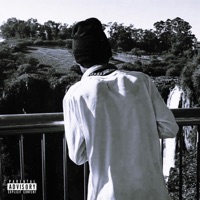 Money-counter - Single - Courteous $witch