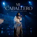 Mi Caballero