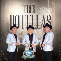 Tres Botellas - Single - Los Diamantes De Sinaloa