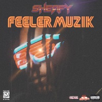 Feeler Muzik - Sheafy