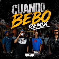 CUANDO BEBO (feat. MAINOL MC, NIÑO RAIDY & MORBOSO) [REMIX] - Single - Flaco Europa