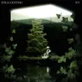 Ivy