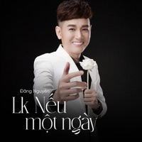LK Nếu Một/ Ngày - Single - Đăng Nguyên