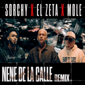 Nene De La Calle (Remix)