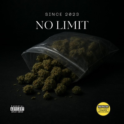 No Limit (feat. Friedo) - Single