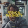FREAK IN THE SHEETS cover art