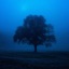 dreamworld - Single