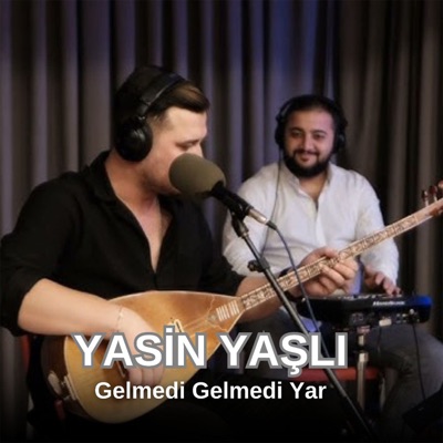 Yasin Yaşlı - Gelmedi Gelmedi Yar