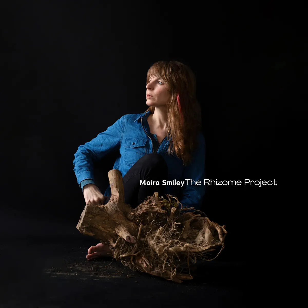 Moira Smiley - The Rhizome Project (2024) [iTunes Plus AAC M4A]-新房子