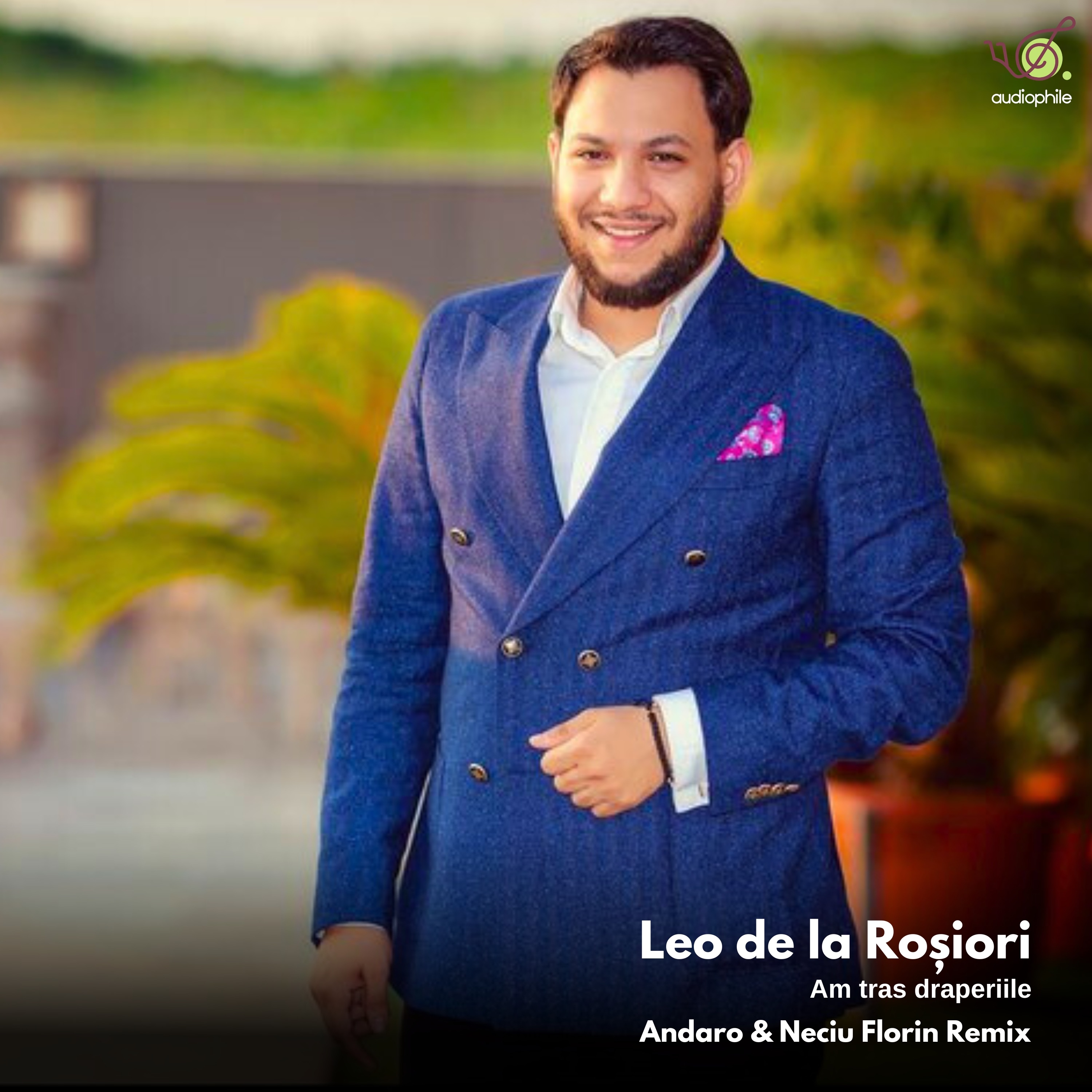 Am tras draperiile - Andaro & Neciu Florin Remix - Single