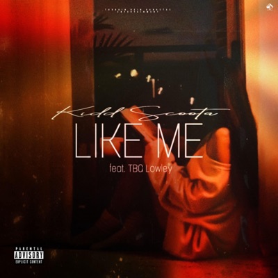 Like Me (feat. TBG Lowley) - Single