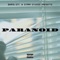 Paranoid (feat. Romestarr & Zeus) - Troy Swift lyrics