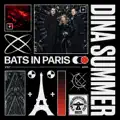 Bats In Paris