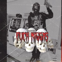FuckNiggas - Single - YoungPrinxe