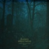 Buried Sweetness (Sped Up) - Single