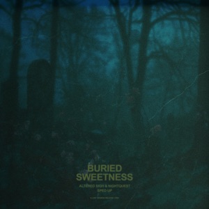 Buried Sweetness (Sped Up) - Single
