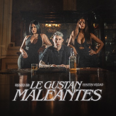 Le Gustan Maleantes - Single