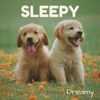 Sleepy - Single