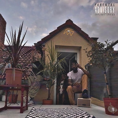 Feel like (feat. Middlez) - Single