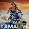 Ти Ловиш Кайф