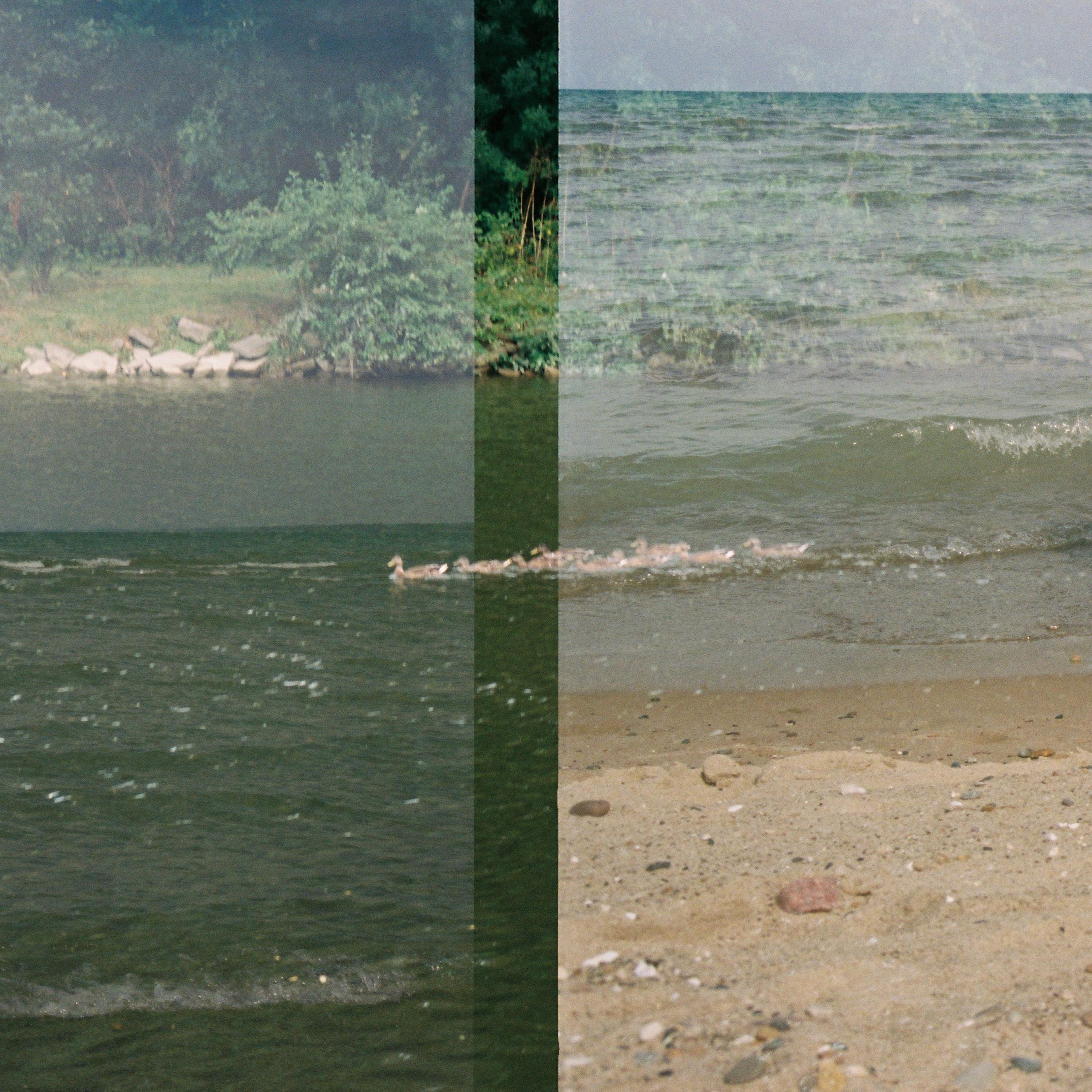 Cut the Rope - Single