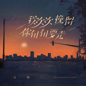 我次次挽留你句句要走 - Single