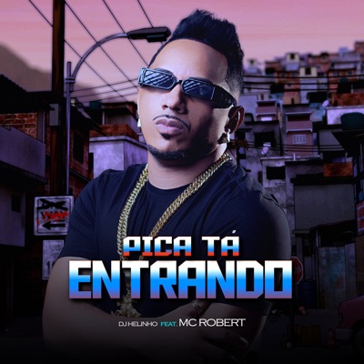 Pica Ta Entrando (feat. MC ROBERT) - Single