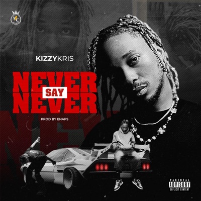 Never Say Never - Single