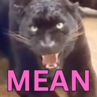 mean - Single - <3URMOM