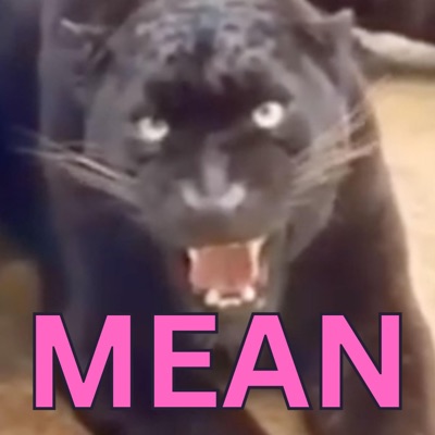 mean - Single