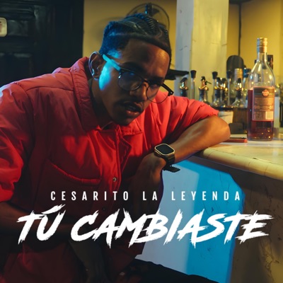 Tu Cambiaste - Single
