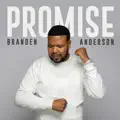 Promise