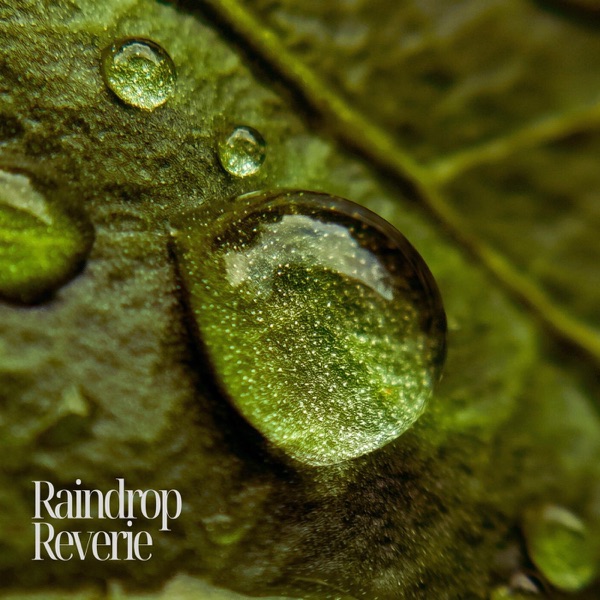 Raindrop Reverie - Single