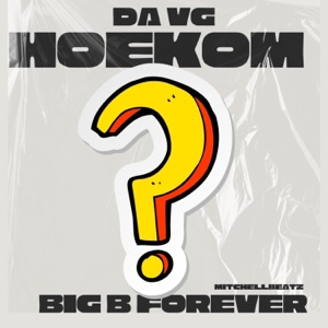 Hoekom? (feat. Bigbforever) - Single