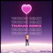 TSURUGI REMIX (feat. naitraM) - Finster lyrics